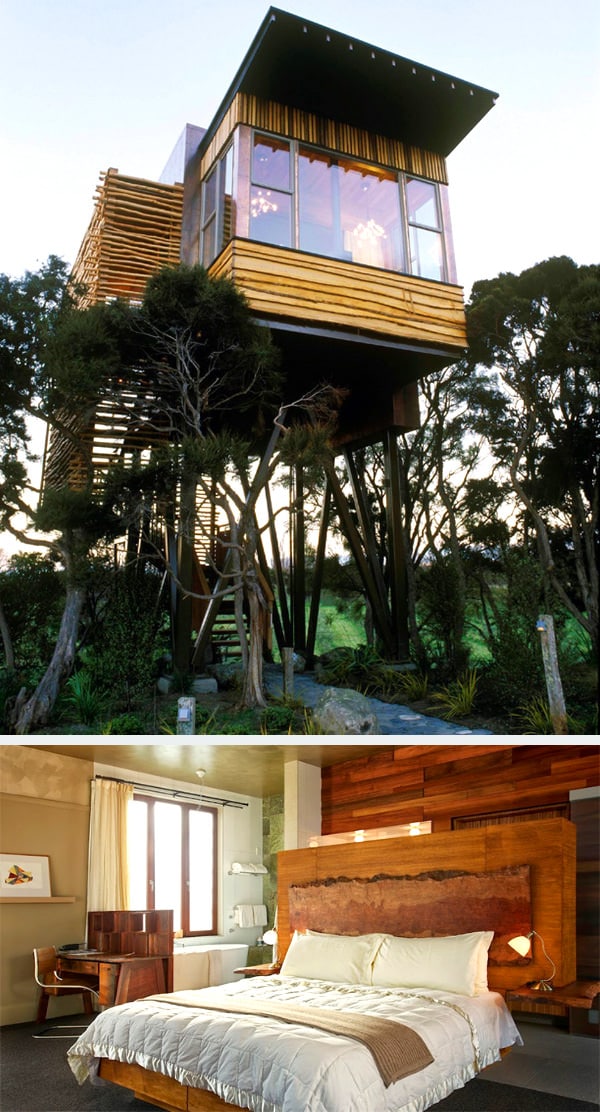 2. Mirip Bangunan Apartemen, Hapuku Lodge and Tree Houses Bisa Disewa Untuk Liburan Keluarga