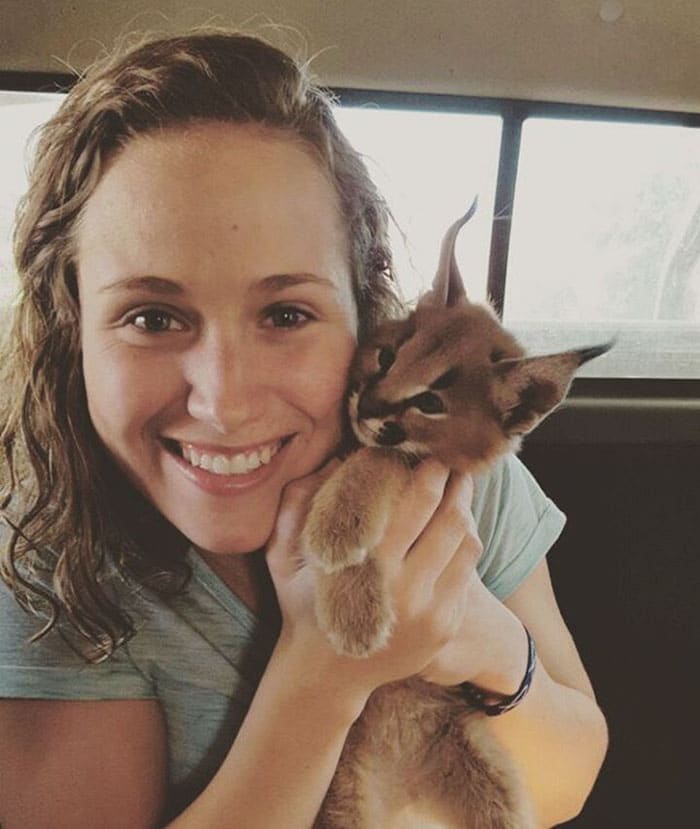 Baby Caracals
