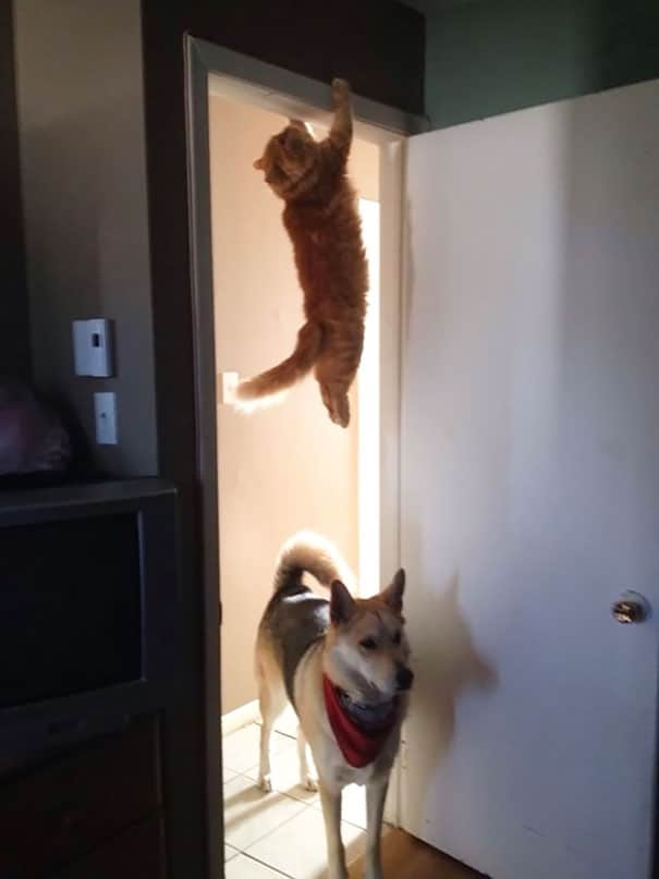 I