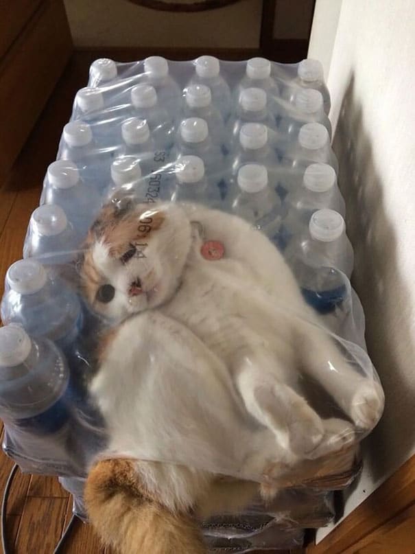 I