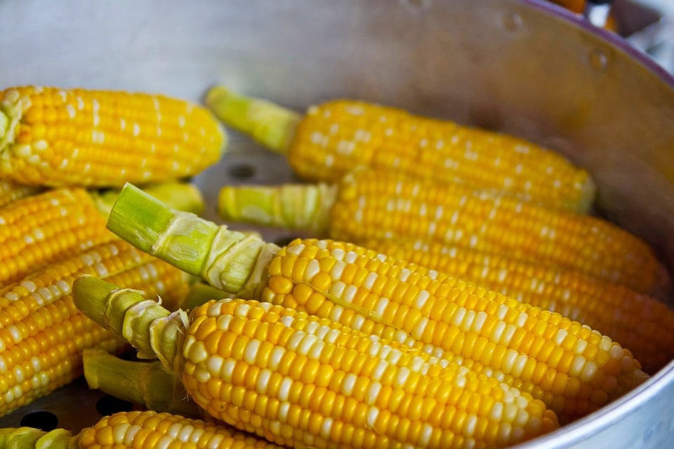 Pop Corn, Yellow, Pop, Popcorn, Food, Nutrition, Eat