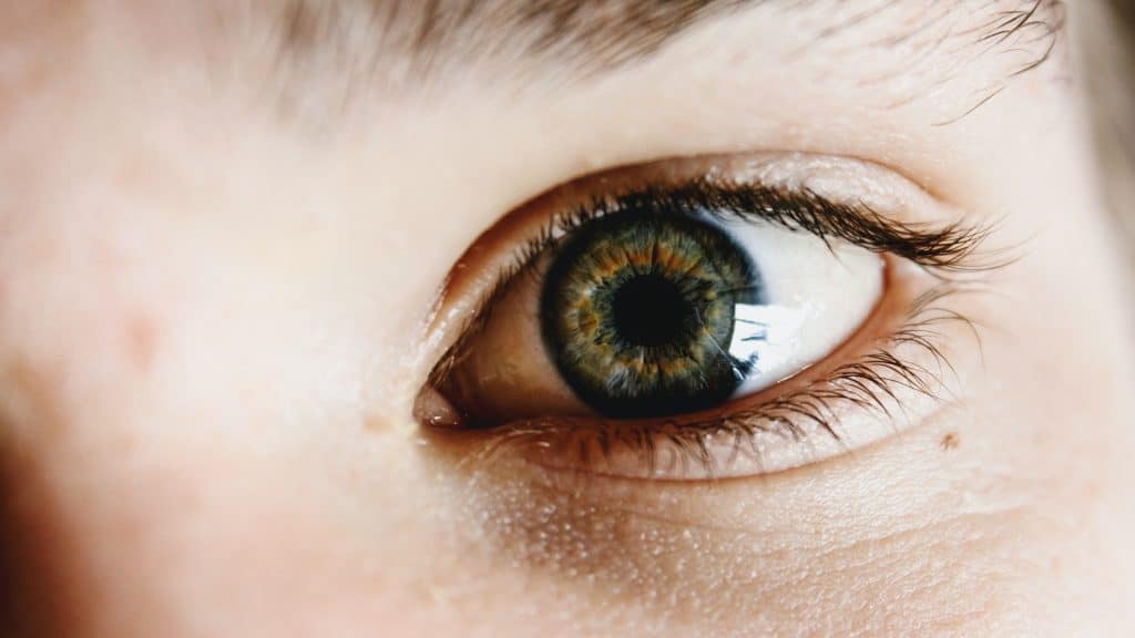 memilih eye cream